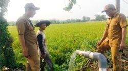 Pemkab Tangerang Perkuat Mitigasi Kekeringan, Stok Gabah Dipastikan Aman Saat Kemarau